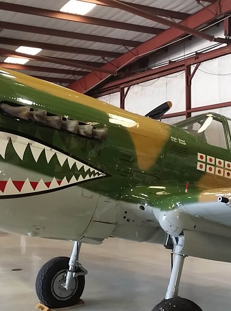  - Warbird