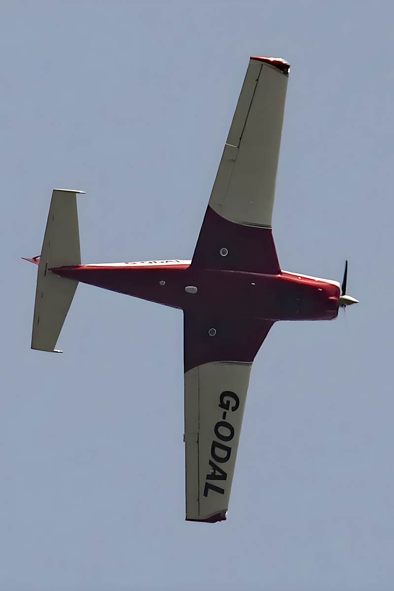 G-ODAL - Single-engine aircraft