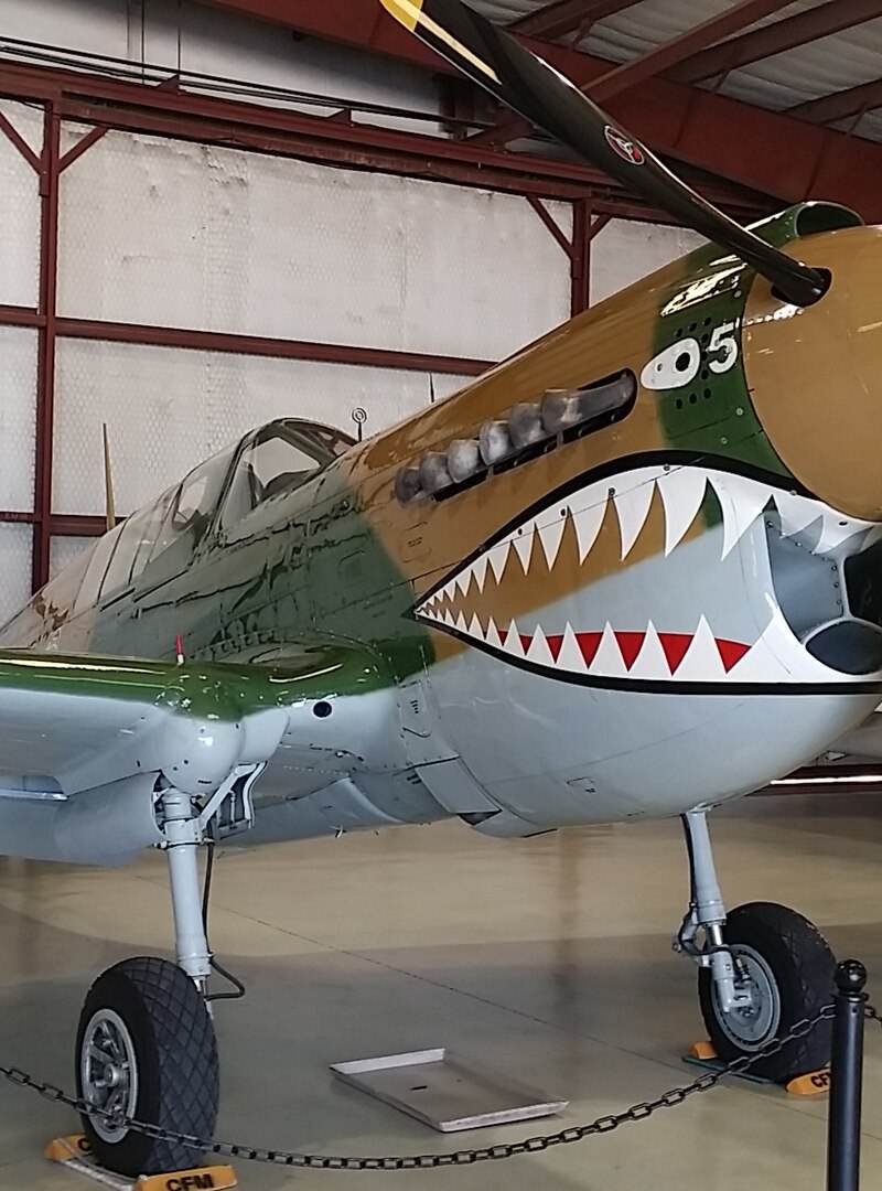  - Warbird