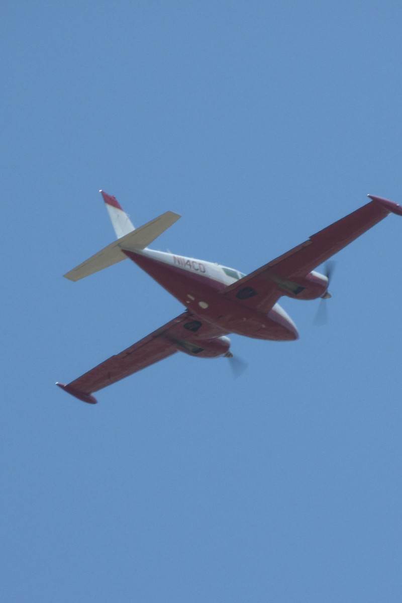 N114CD - Piper