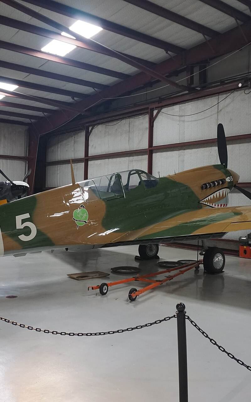  - Warbird