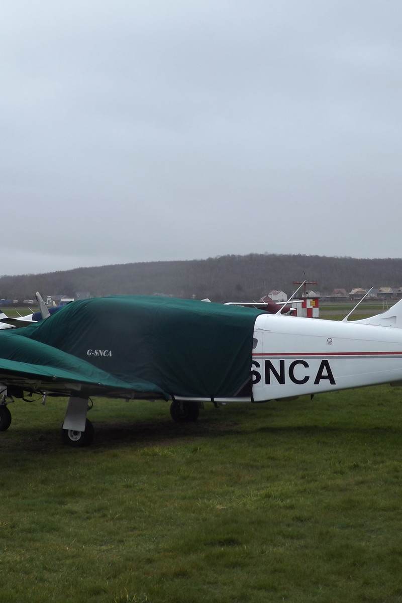 G-SNCA - Piper