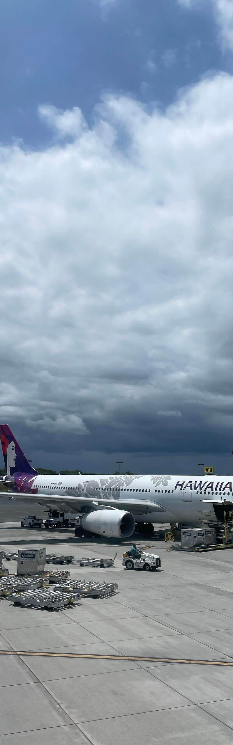 N386HA - Airbus