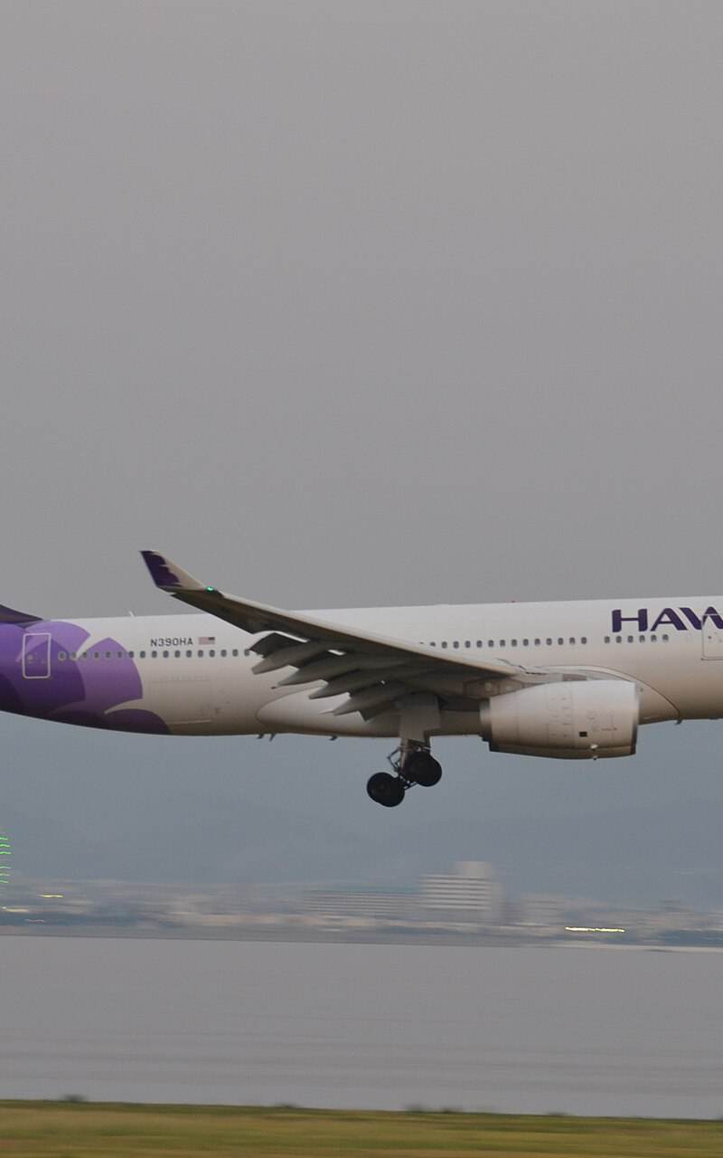 N390HA - Airbus