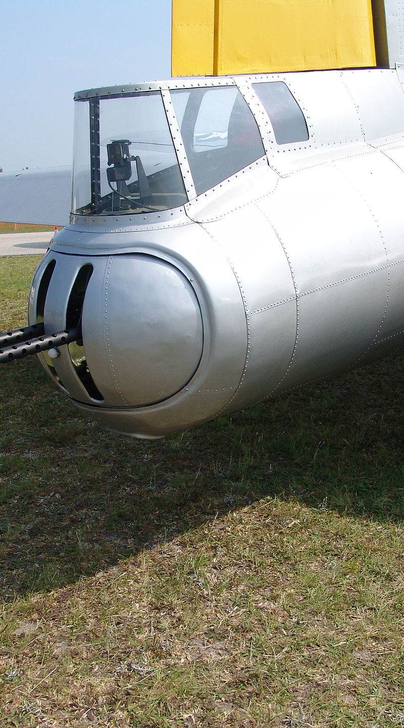  - Warbird