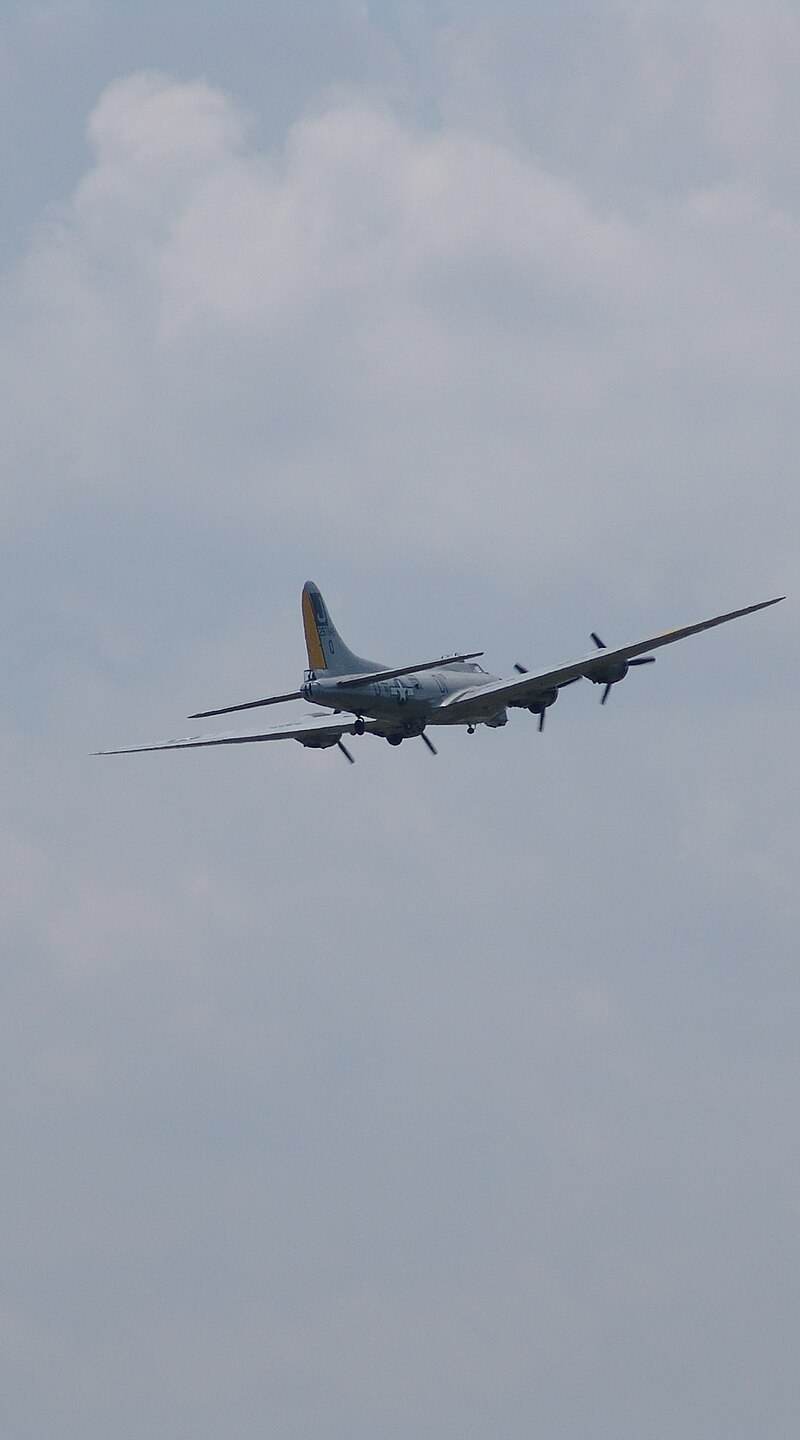  - Warbird