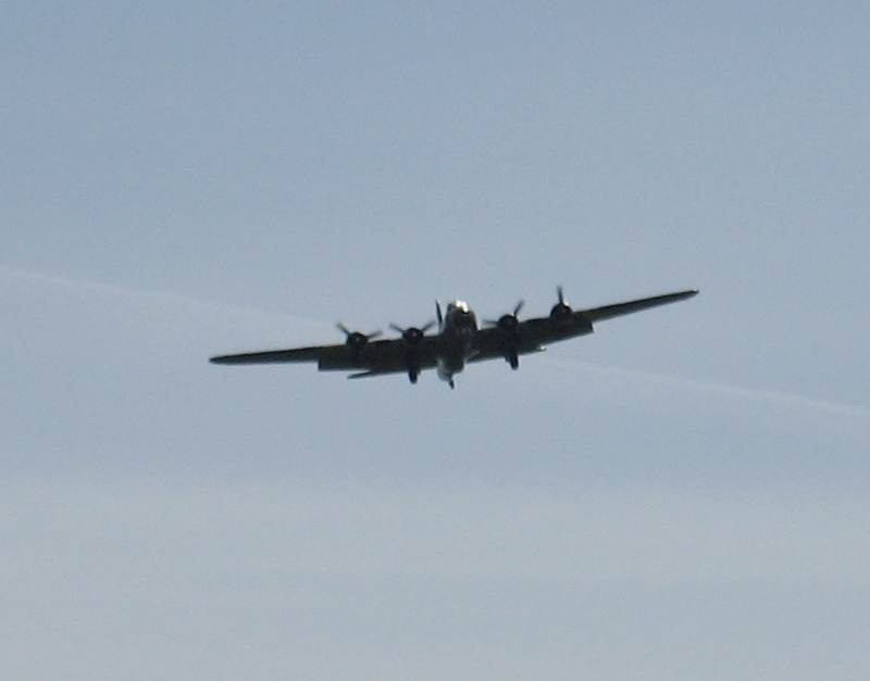  - Warbird