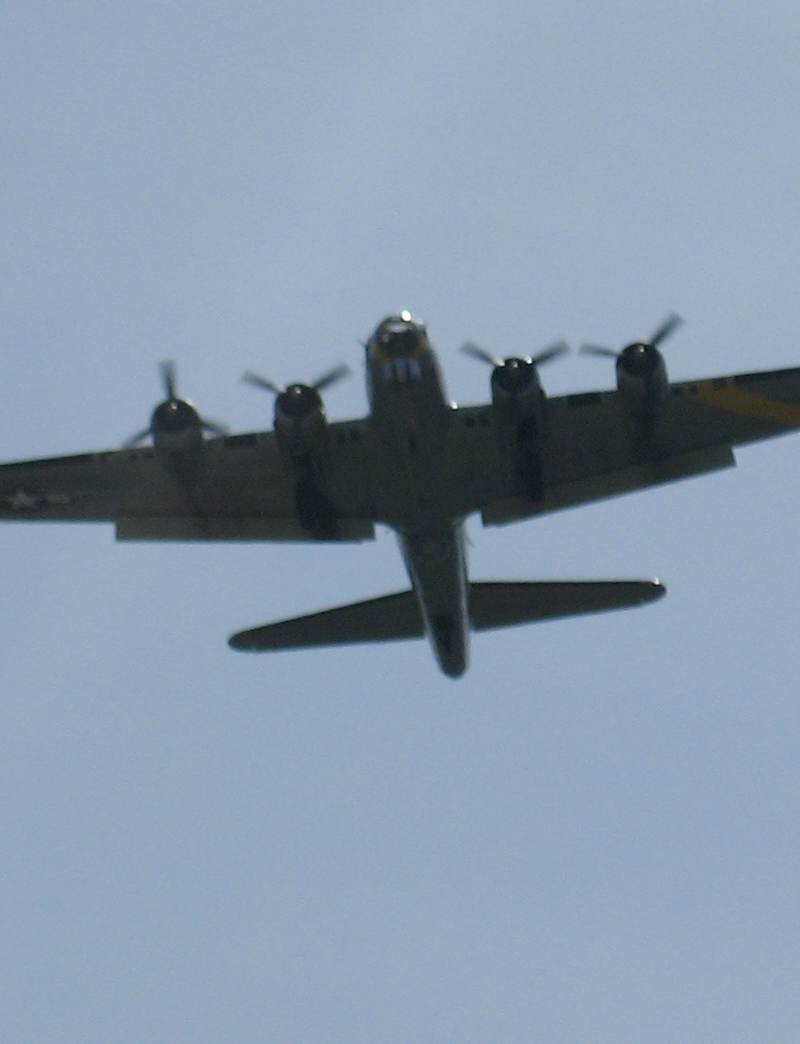  - Warbird