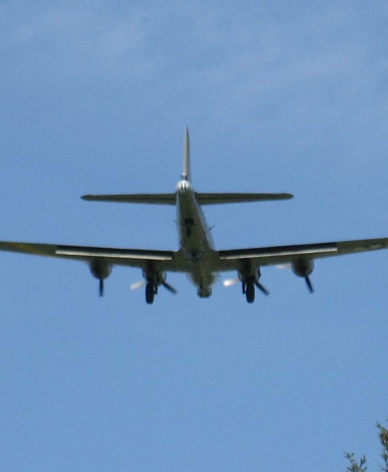  - Warbird