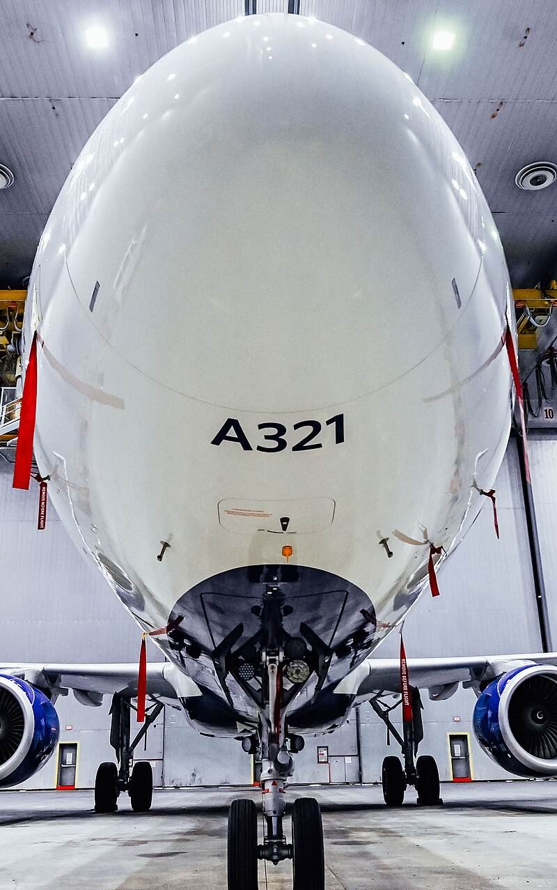 N391DN - Airbus