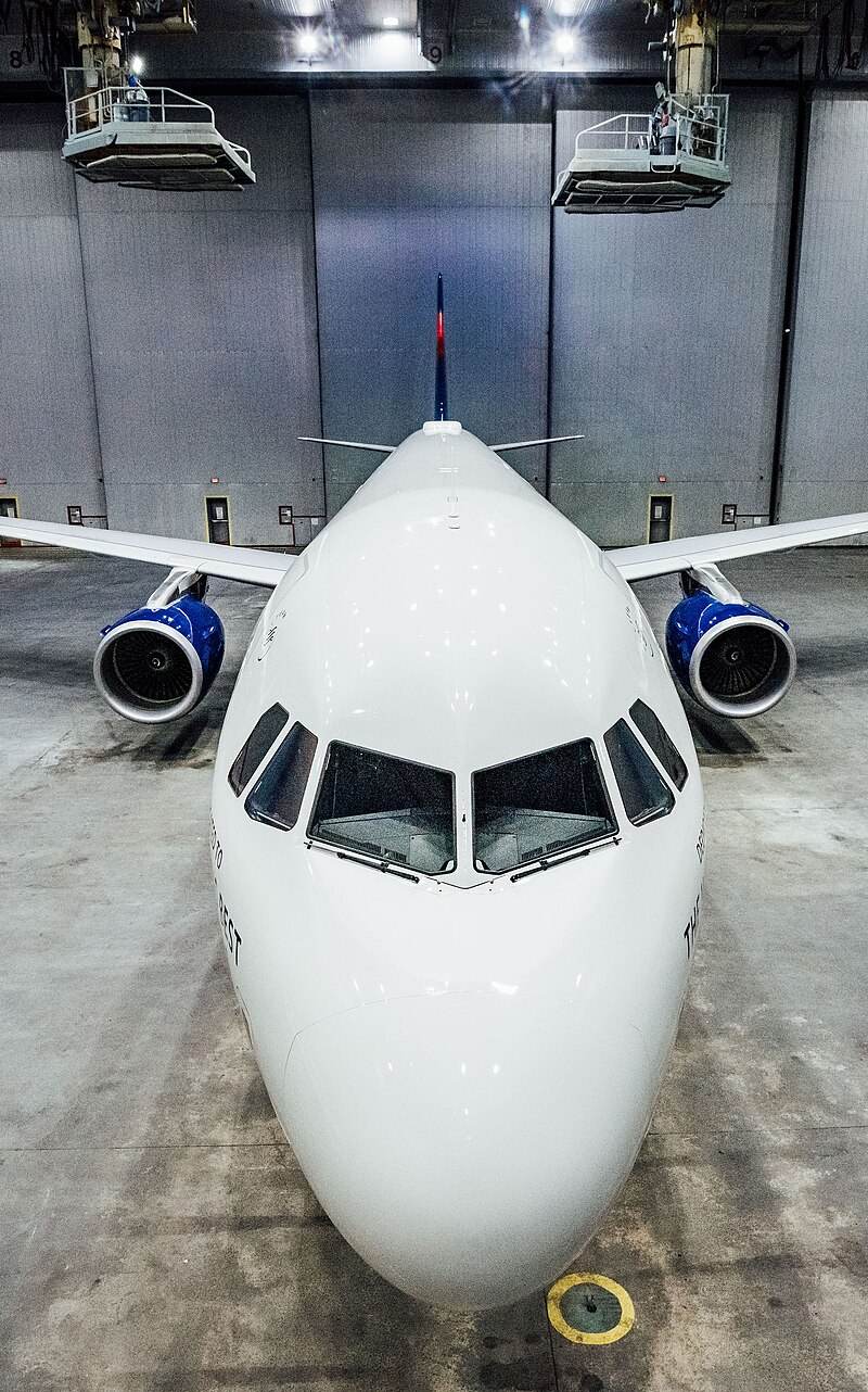 N391DN - Airbus