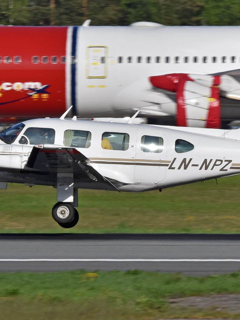 LN-NPZ - Piper