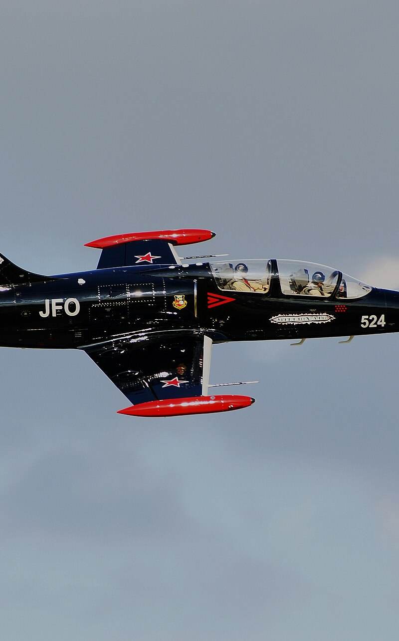 N393WA - Single-engine aircraft