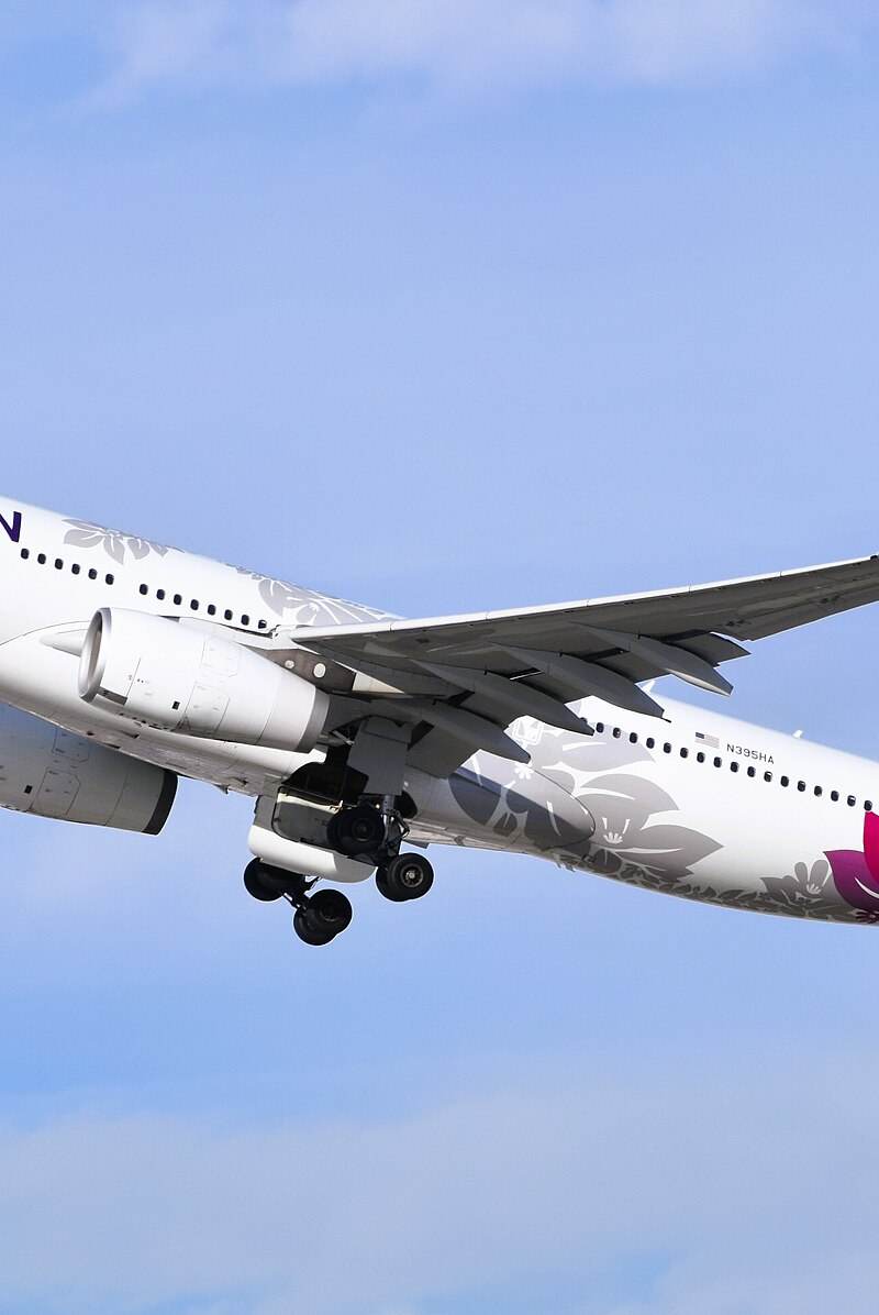 N395HA - Airbus