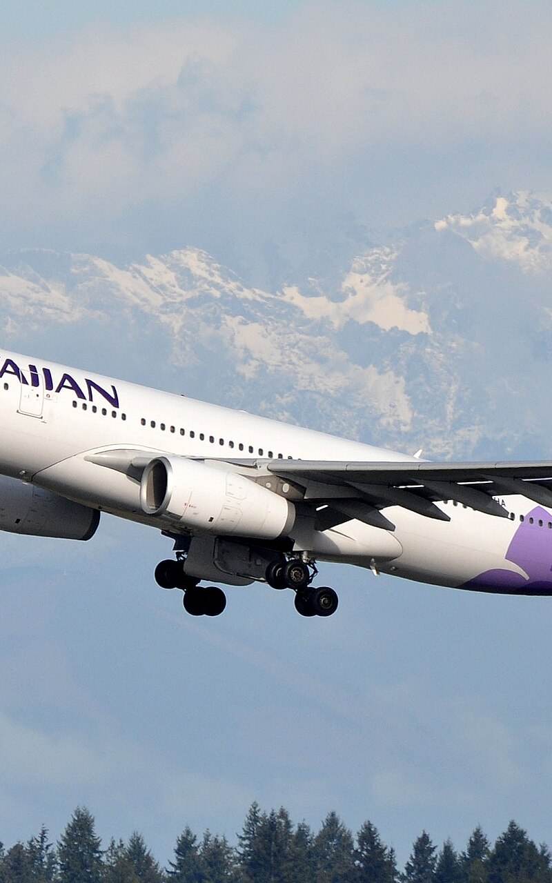 N395HA - Airbus