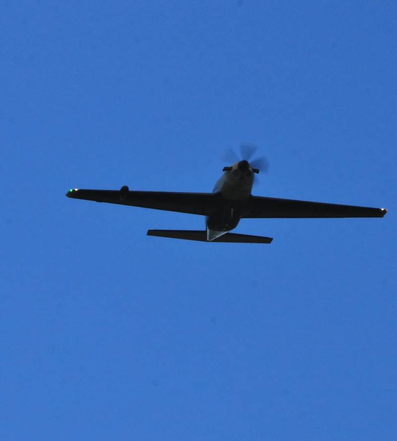 N311MX - Single-engine aircraft