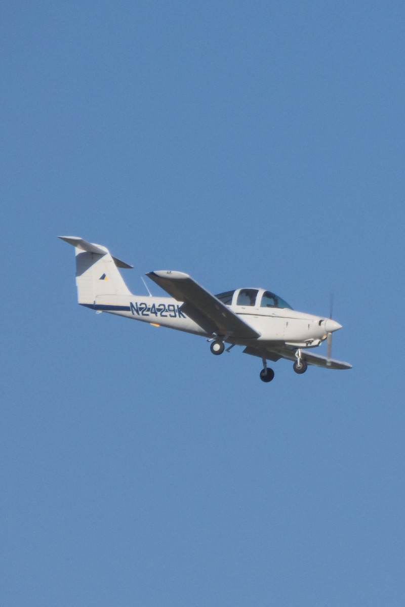 N2429K - Piper