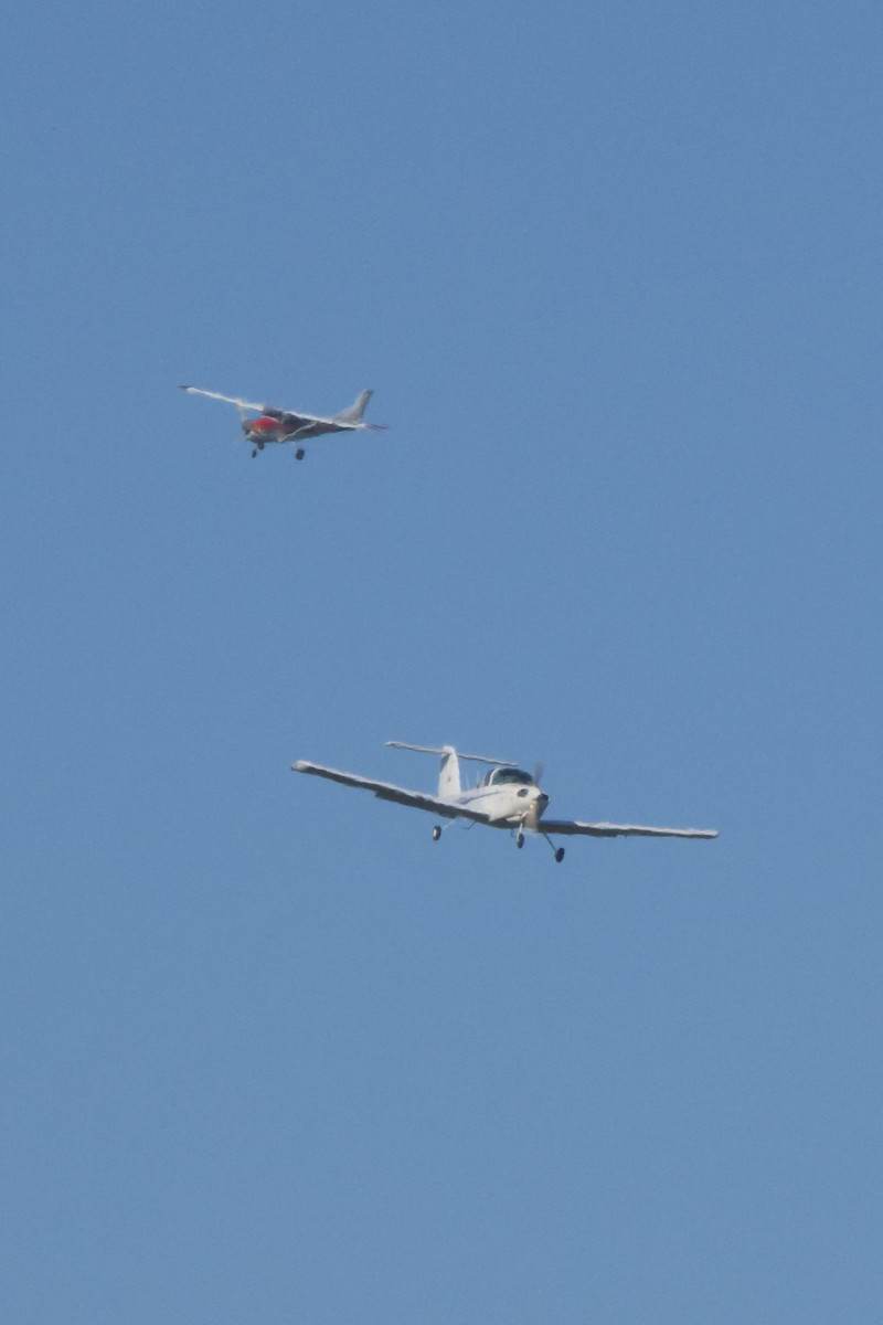 N2379X - Cessna