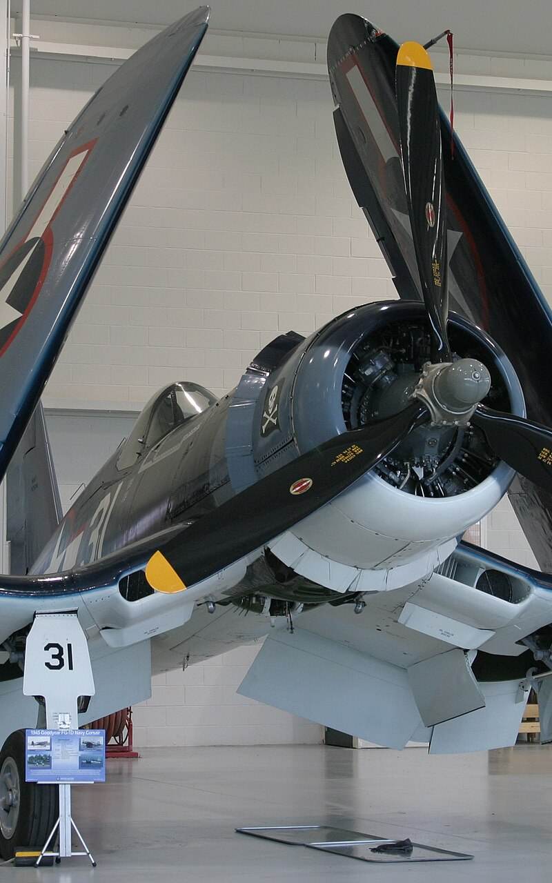  - Warbird