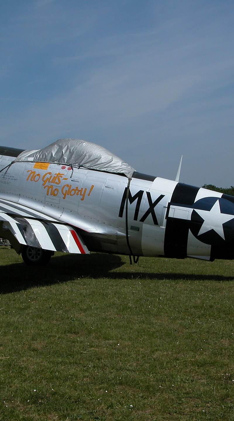  - Warbird