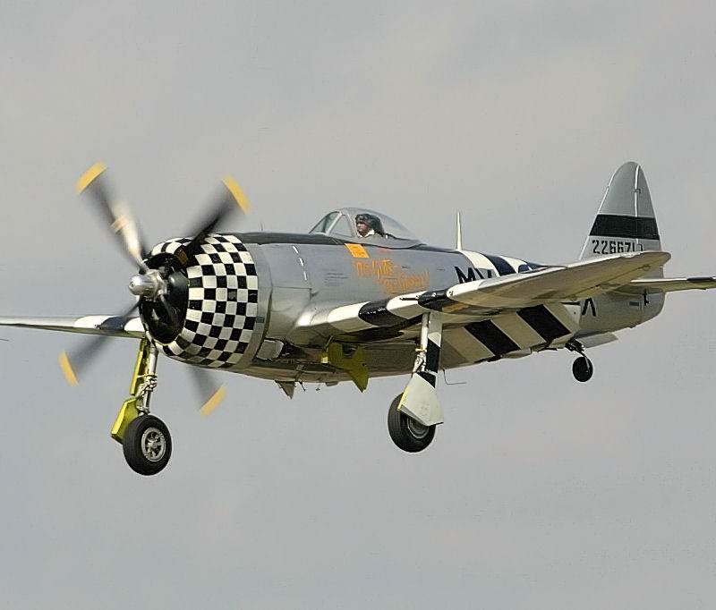  - Warbird