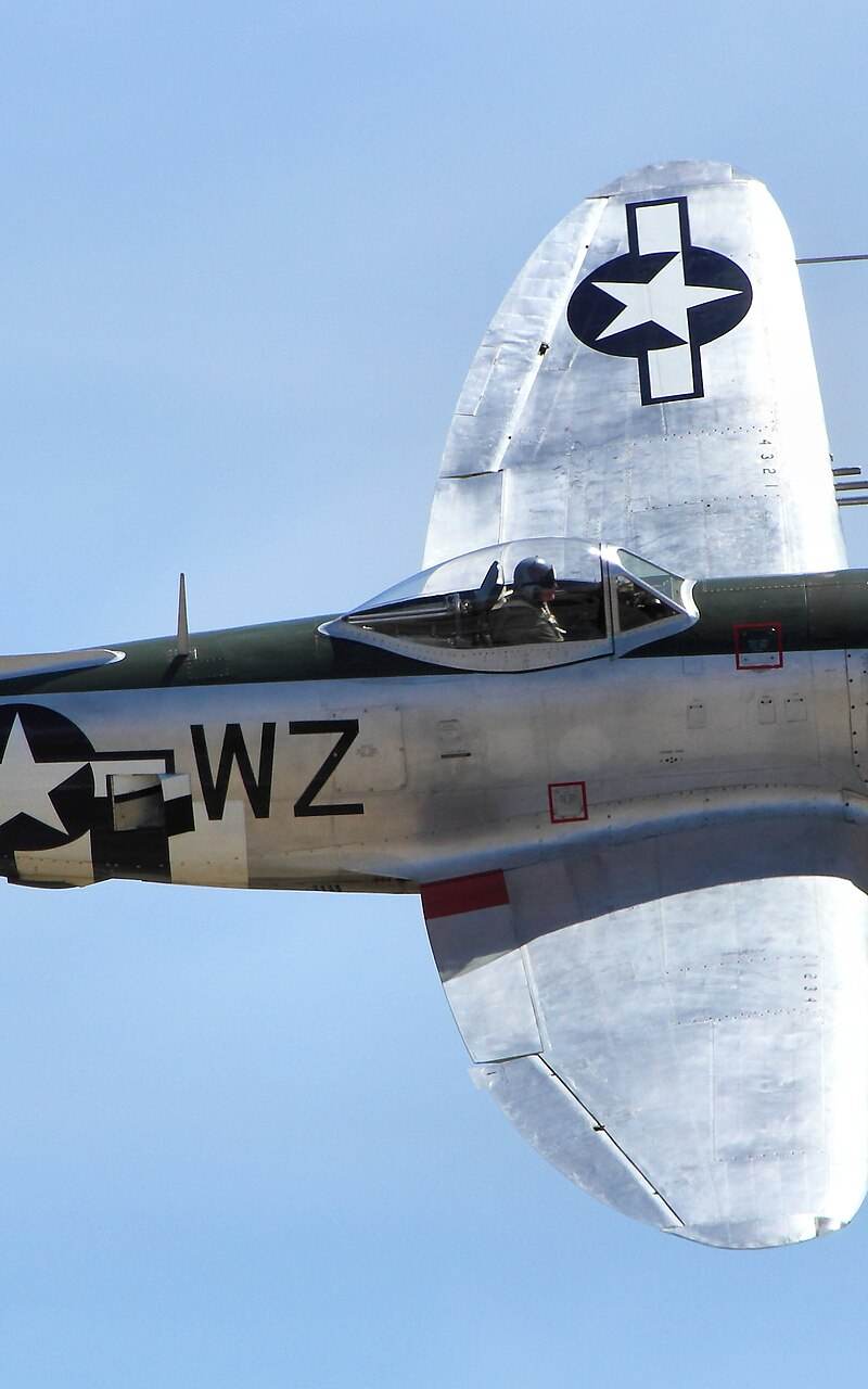  - Warbird