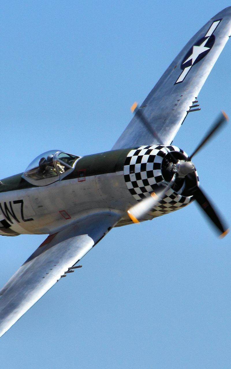  - Warbird