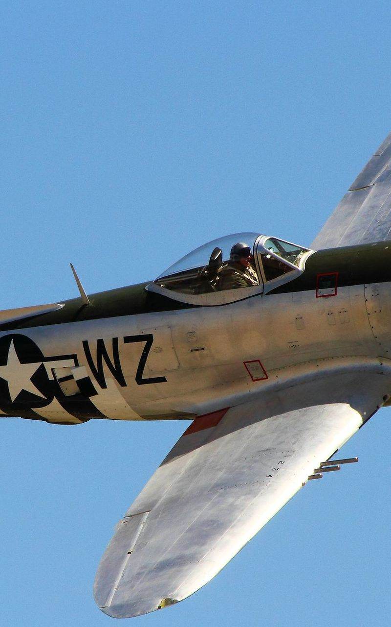  - Warbird