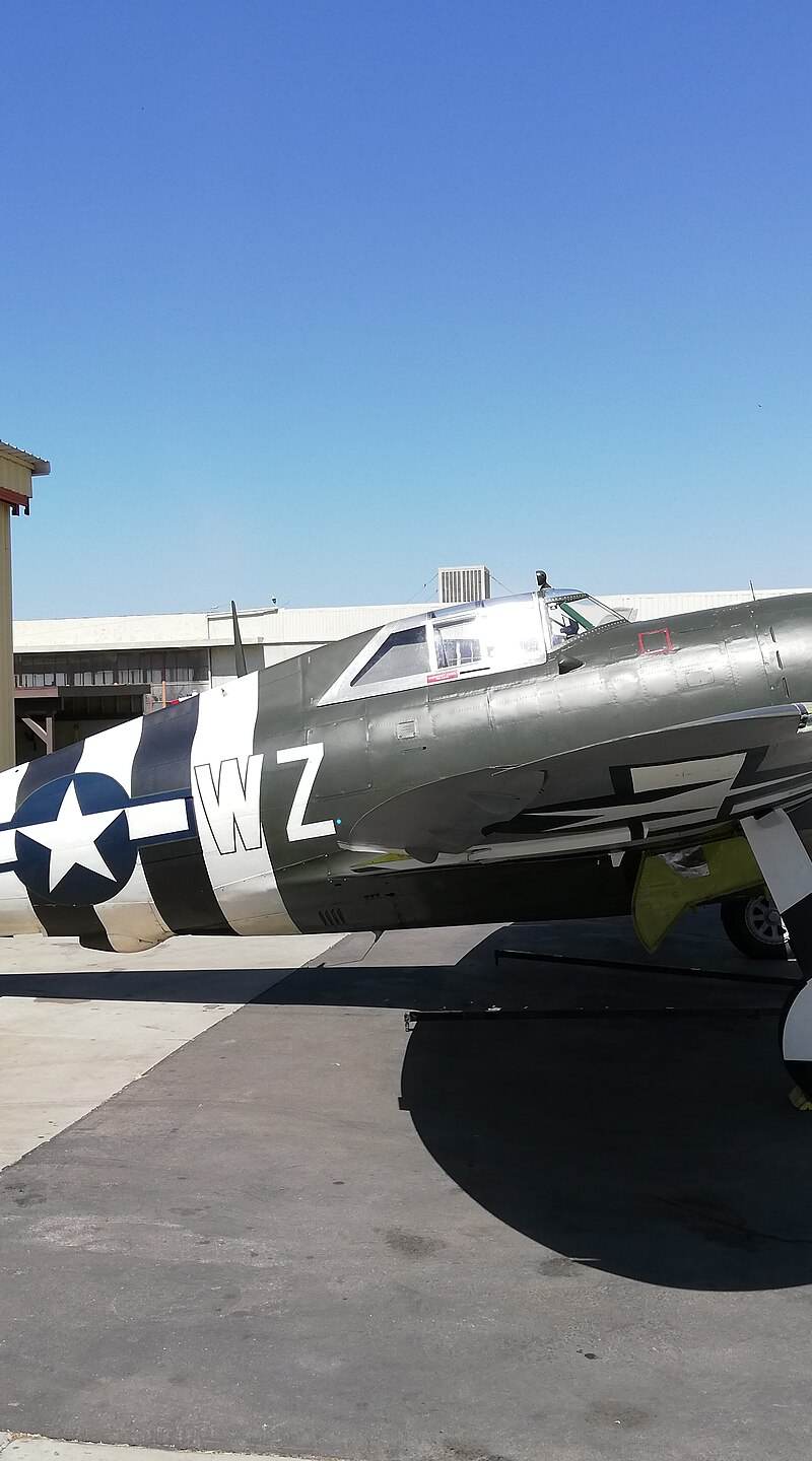 - Warbird