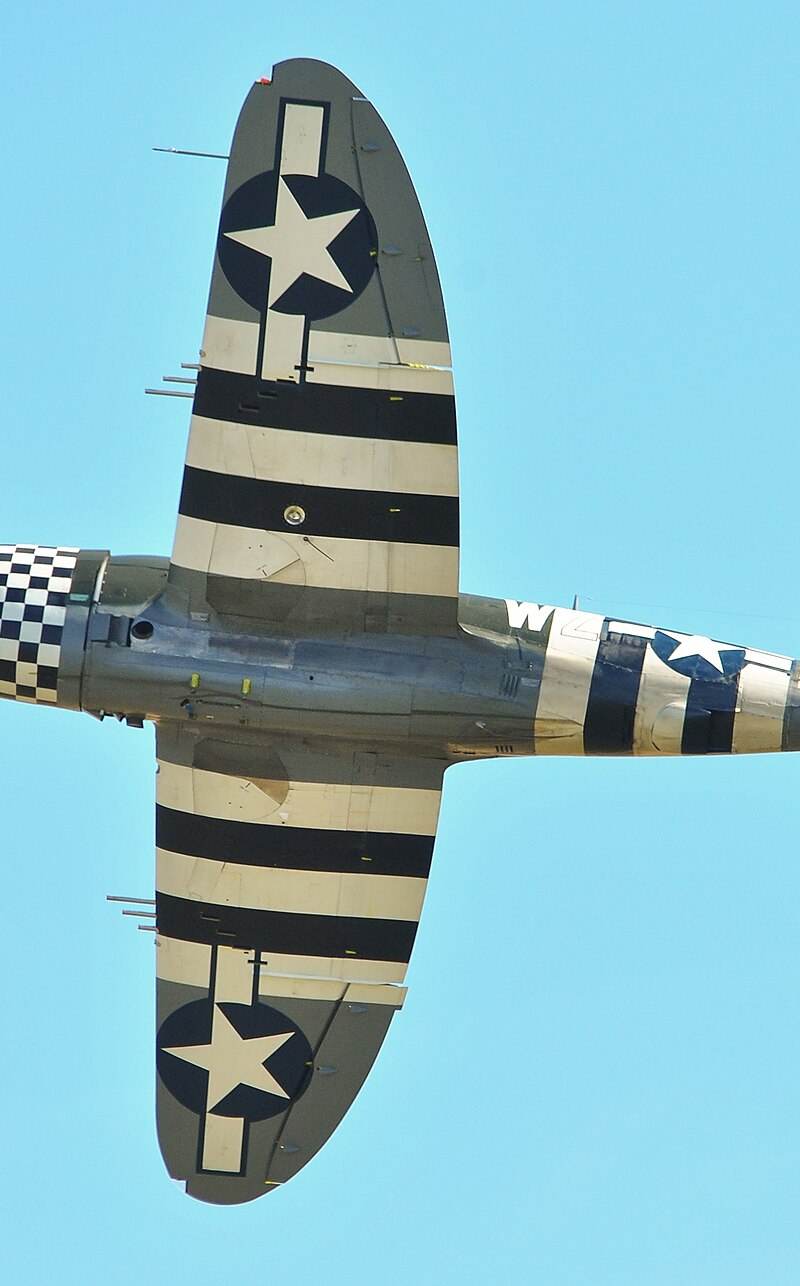  - Warbird