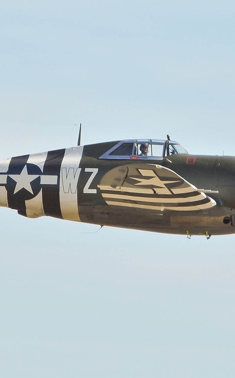  - Warbird