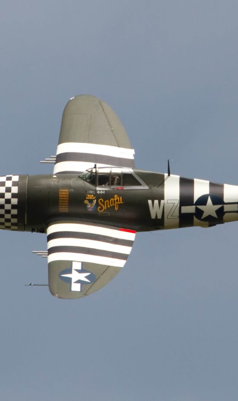  - Warbird