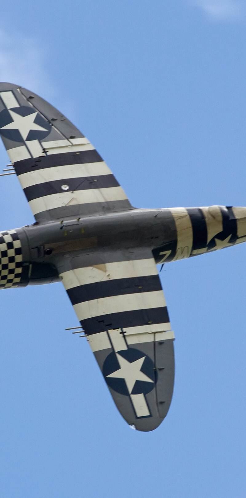 - Warbird