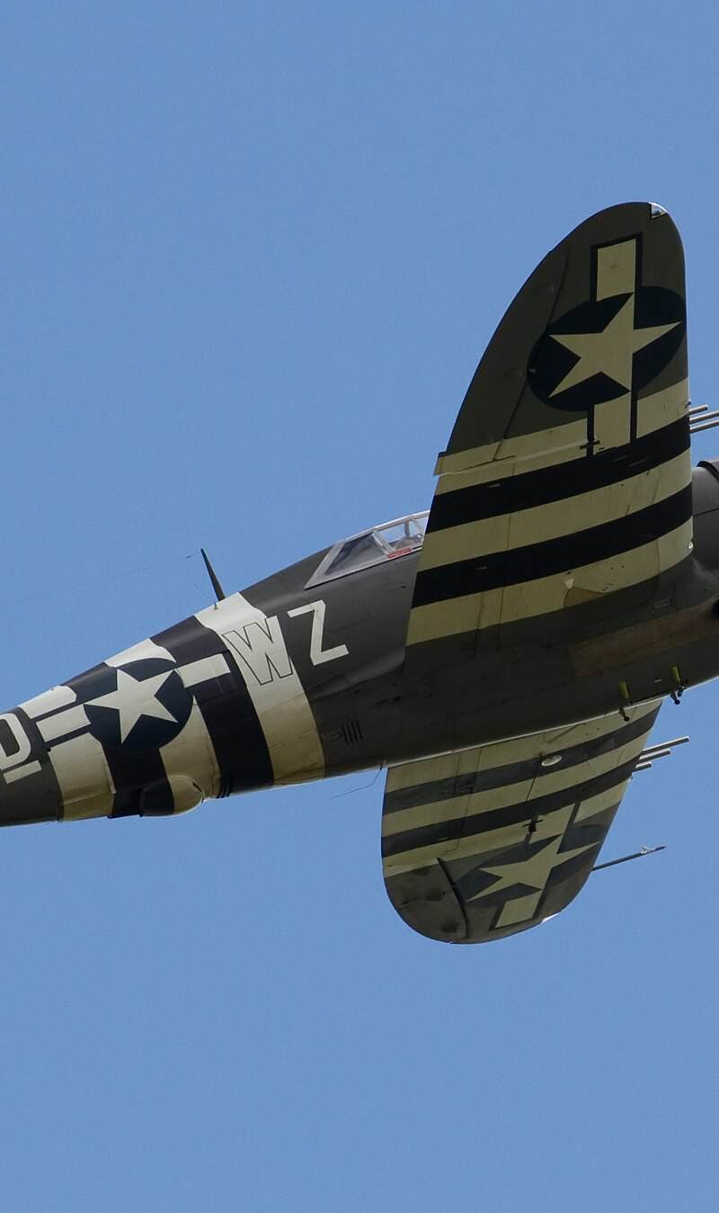  - Warbird