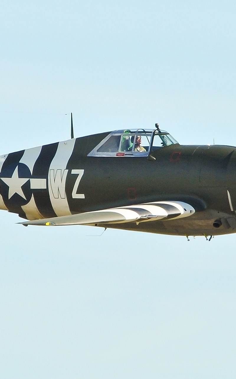  - Warbird