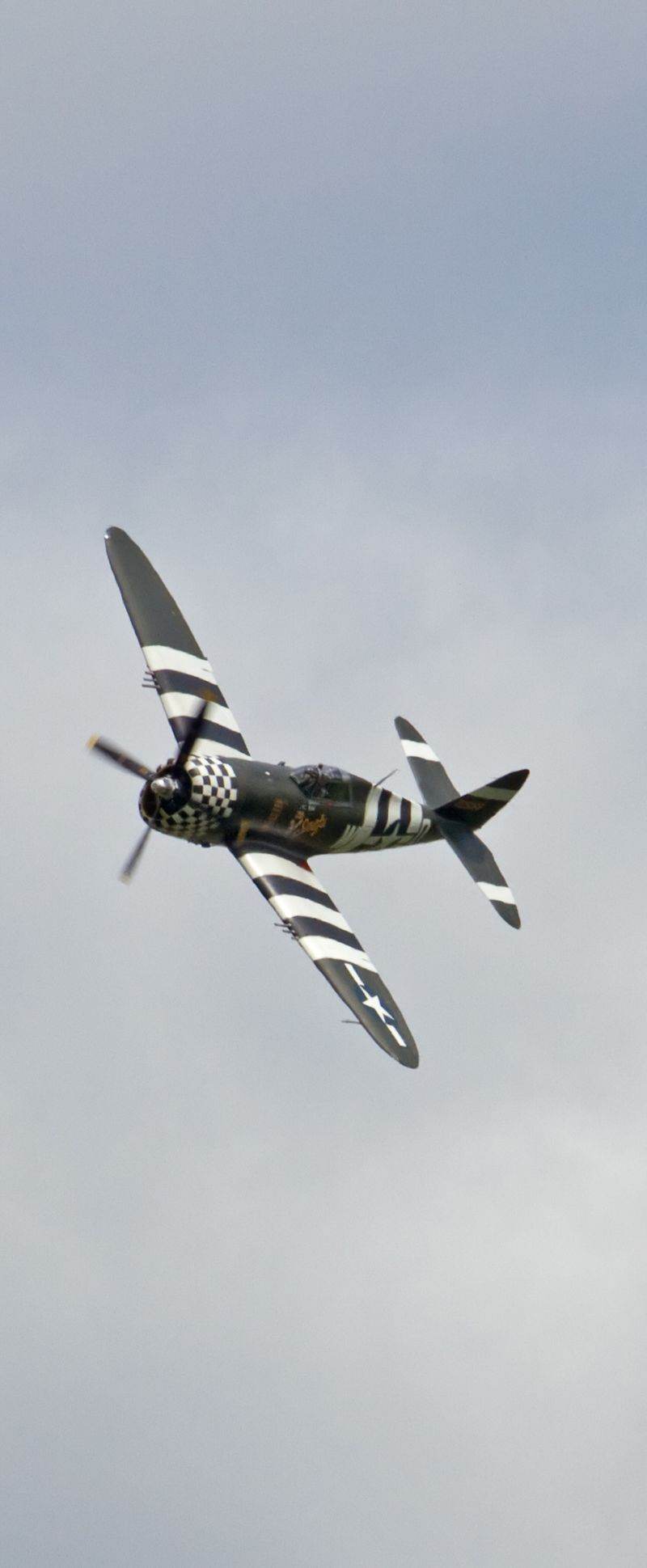  - Warbird