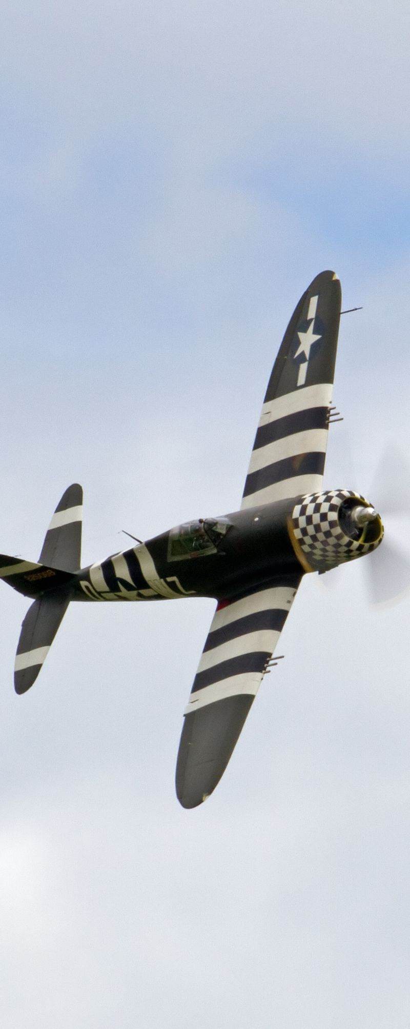  - Warbird