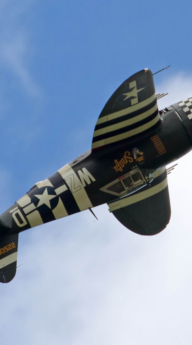  - Warbird