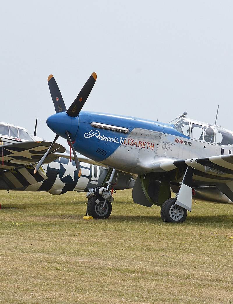  - Warbird