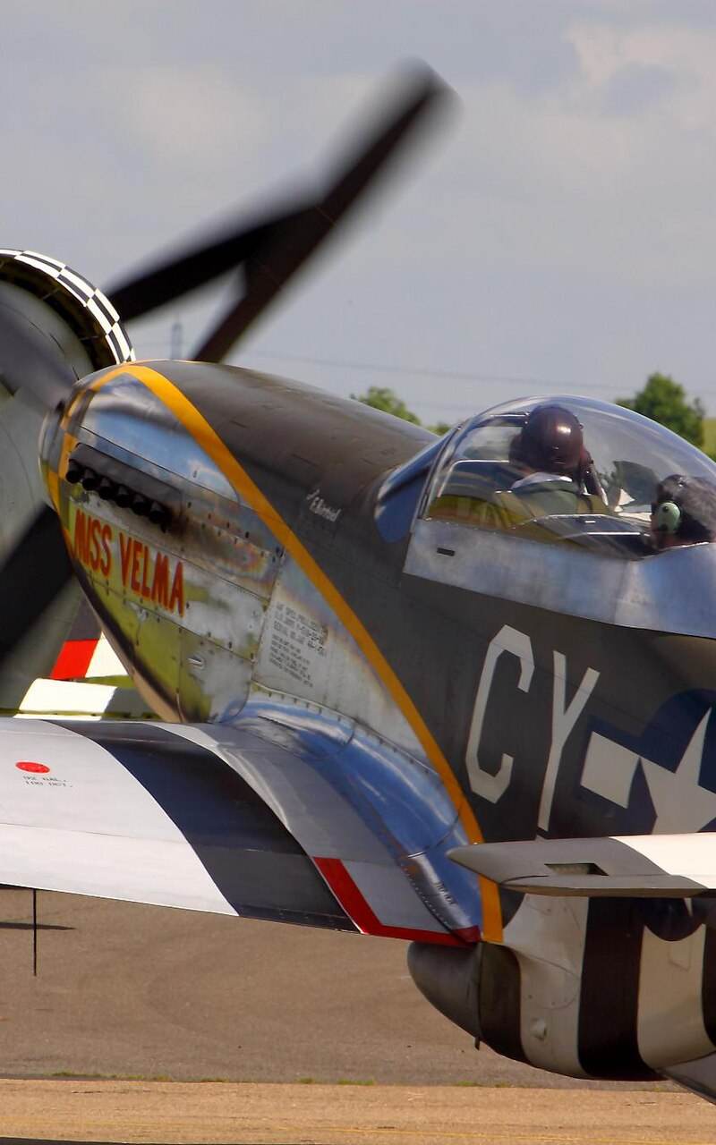 N251RJ - Warbird