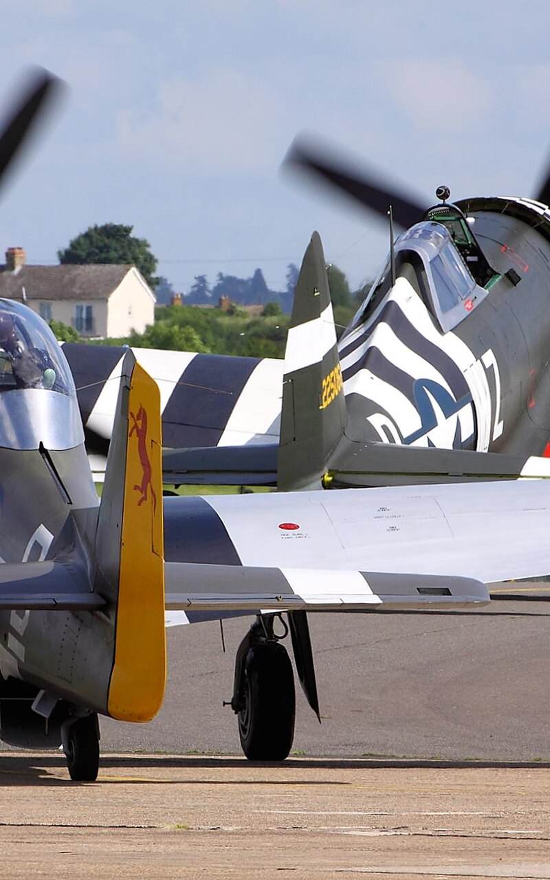 N251RJ - Warbird