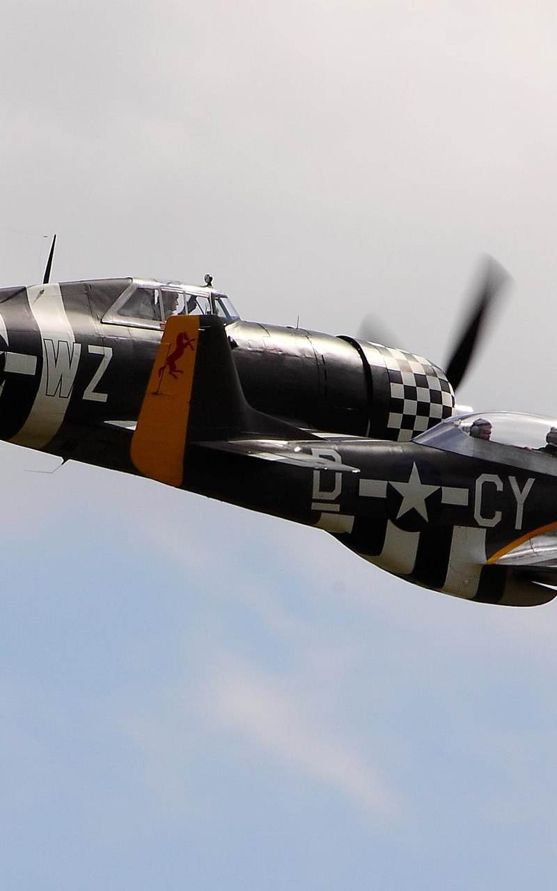 N251RJ - Warbird