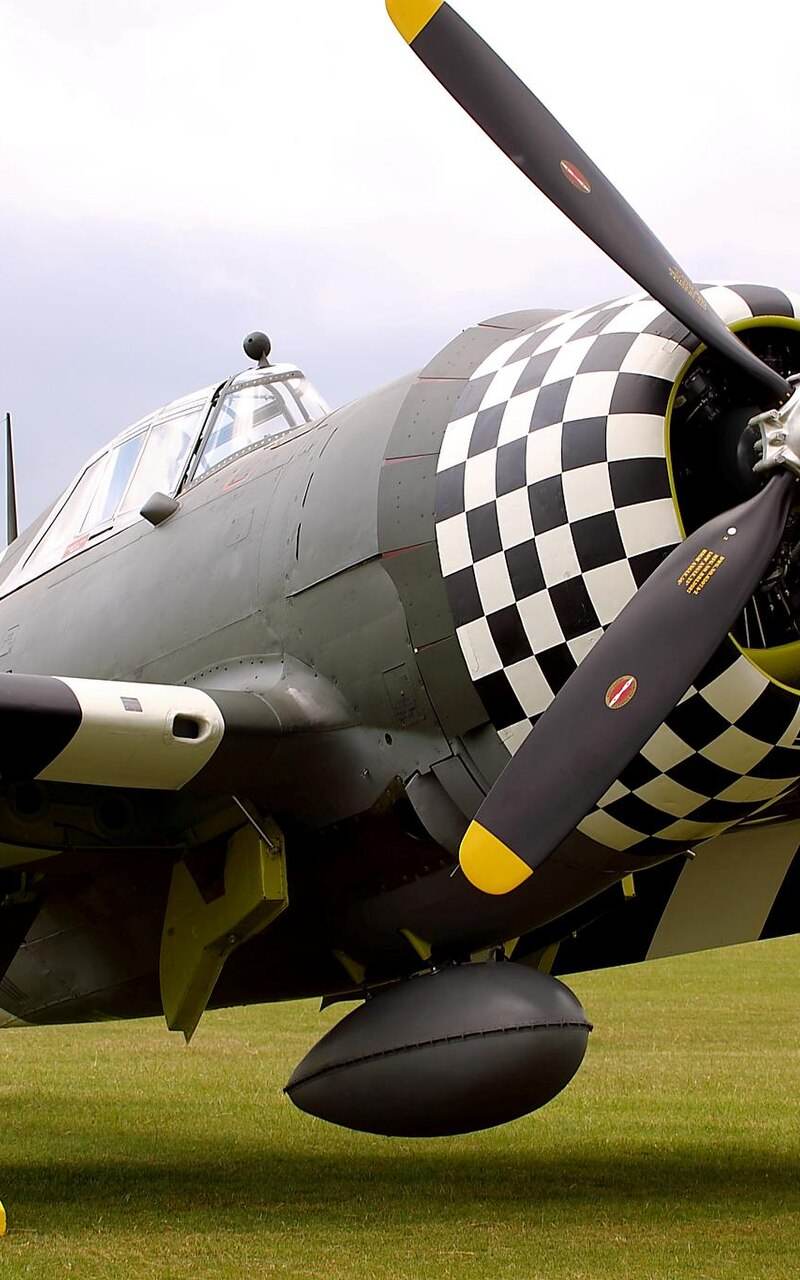  - Warbird