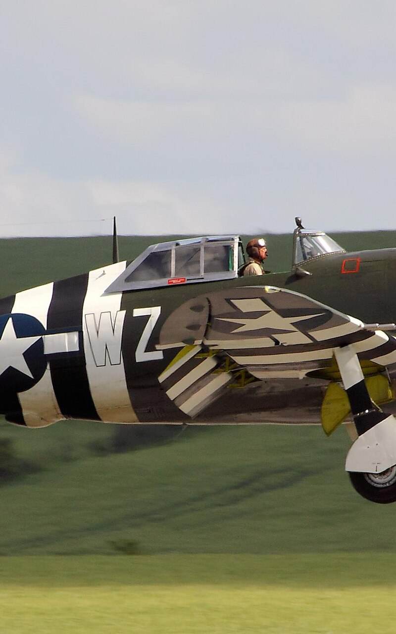  - Warbird