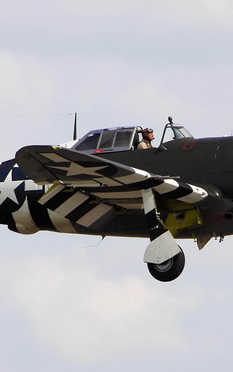  - Warbird