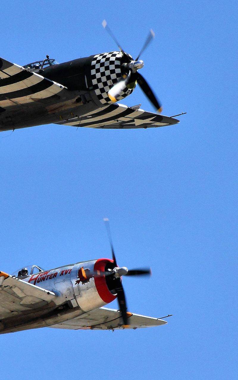  - Warbird