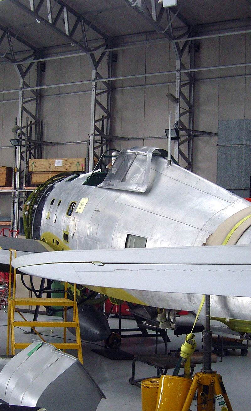  - Warbird