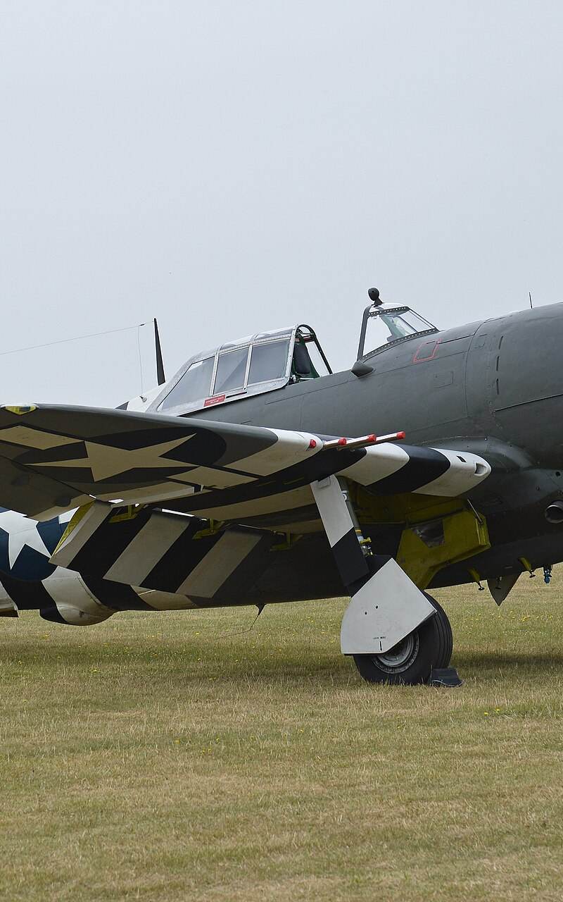  - Warbird