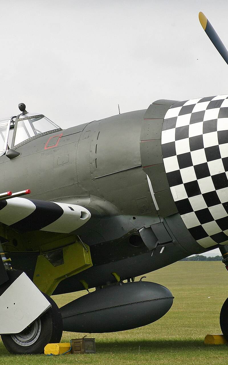  - Warbird