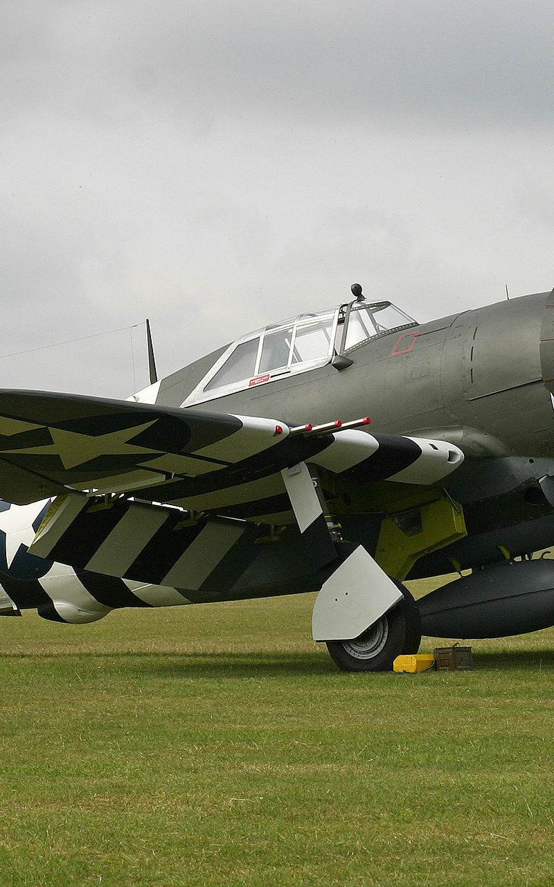  - Warbird